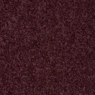 Shaw Floors FIELDER’S CHOICE 12′ Royal Purple 00902_52Y70