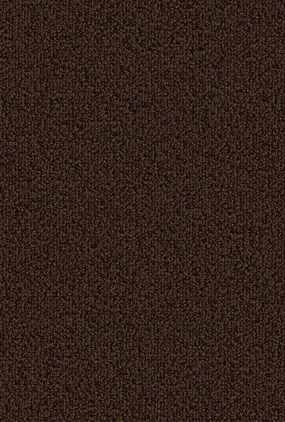 Philadelphia Commercial COLOR ACCENTS BL Coffee 62750_54584