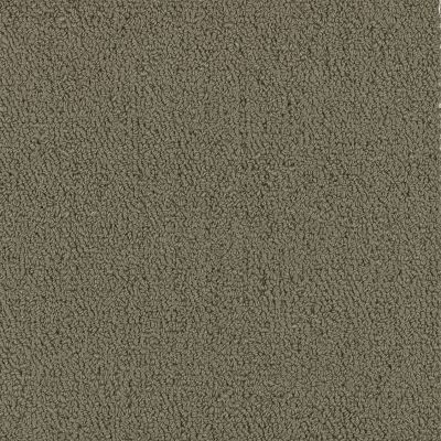 Philadelphia Commercial COLOR ACCENTS BL Taupe 62760_54584