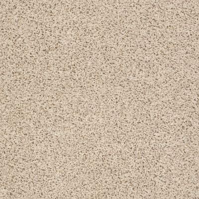 Anderson Tuftex Builder Zara Brushed Ivory 00111_ZZB21