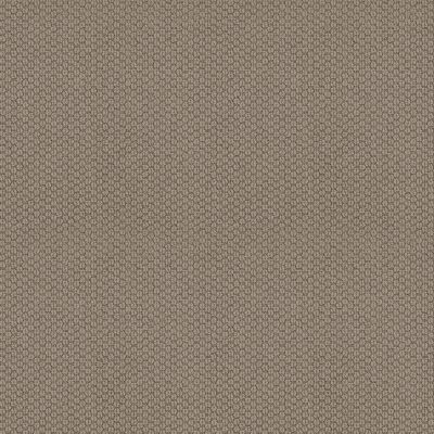 Anderson Tuftex CYPRESS HILL Taupe Tone 00574_040NF