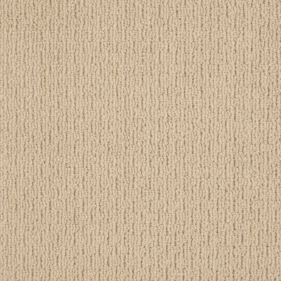 Anderson Tuftex American Home Fashions Another Place Chamois 00221_ZA812