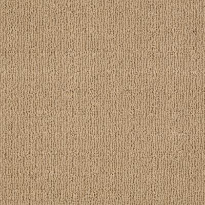 Anderson Tuftex American Home Fashions Another Place Tiger Eye 00228_ZA812