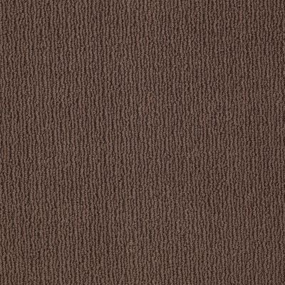 Anderson Tuftex American Home Fashions Another Place Kola Nut 00776_ZA812