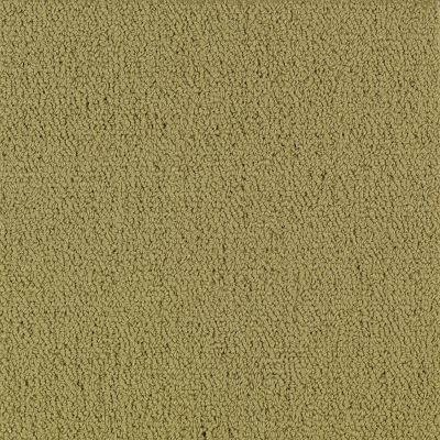 Philadelphia Commercial COLOR ACCENTS Herbal 62302_54462