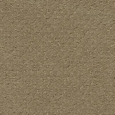 Shaw Contract No Collection Solid Angora 37101_5A137