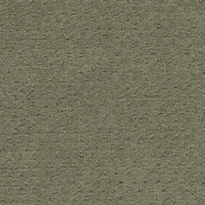 Shaw Contract No Collection Solid Verde 37543_5A137