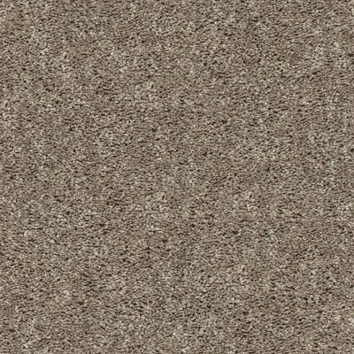 Shaw Floors Value Collections Break Away (s) Net Weathered Wood 00710_5E282