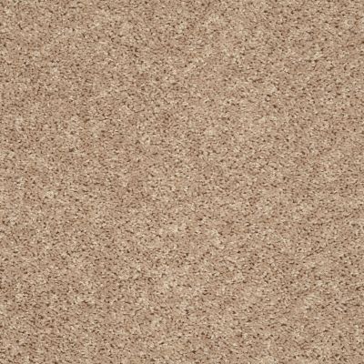 Shaw Floors Roll Special Xv824 Natural Flax 00105_XV824