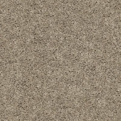 Shaw Floors Value Collections Break Away (s) Net Soft Taupe 00501_5E282