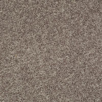Shaw Floors Value Collections Break Away (s) Net Charcoal 00502_5E282