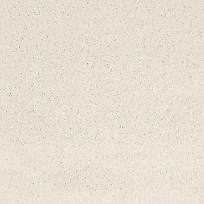 Shaw Floors Caress By Shaw Cashmere Classic I Icelandic 00100_CCS68