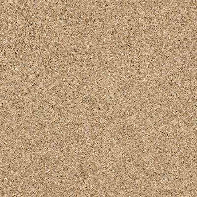 Shaw Floors Value Collections Cashmere Classic I Net Manilla 00221_E9922