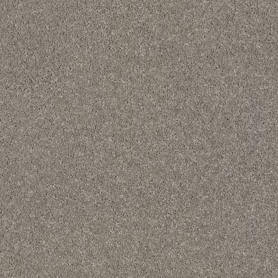 Shaw Floors Caress By Shaw Cashmere Classic I Birch Bark 00522_CCS68