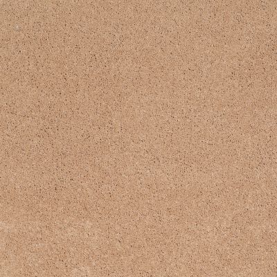 Shaw Floors Value Collections Cashmere Classic I Net Maplewood North 00600_E9922