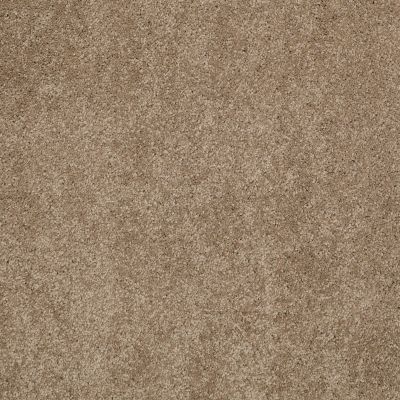 Shaw Floors Caress By Shaw Cashmere Classic I Pebble Path 00722_CCS68