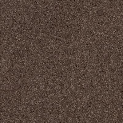 Shaw Floors Caress By Shaw Cashmere Classic I Spring – Wood 00725_CCS68