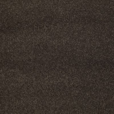 Shaw Floors Caress By Shaw Cashmere Classic I Chestnut 00726_CCS68