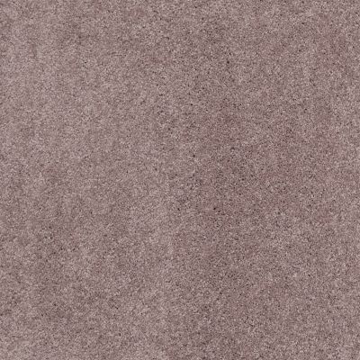 Shaw Floors Value Collections Cashmere Classic I Net Heather 00922_E9922