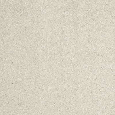 Shaw Floors Caress By Shaw Cashmere Classic II Cheviot 00104_CCS69