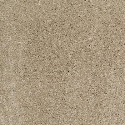 Shaw Floors Caress By Shaw Cashmere Classic II Pecan Bark 00721_CCS69