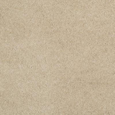 Shaw Floors Caress By Shaw Cashmere Classic III Gentle Doe 00128_CCS70