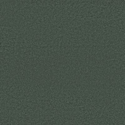 Shaw Floors Caress By Shaw Cashmere Classic III Emerald 00324_CCS70