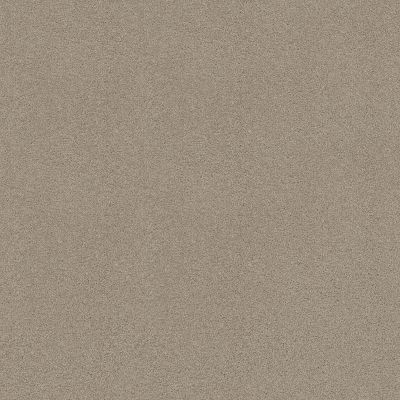 Shaw Floors St Jude Butterfly Kisses III Satin Shimmer 00164_JD302