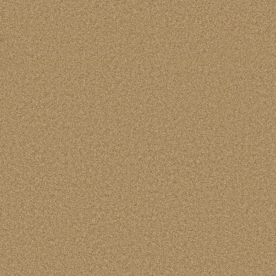 Shaw Floors Ultratouch Anso Exalted Beauty III Sun Shower 00200_748Z5