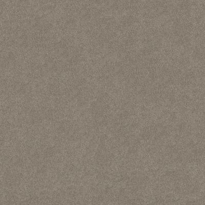 Shaw Floors Value Collections Keen Senses II Net Lady In Gray 00590_E9768