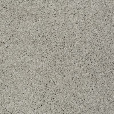 Shaw Floors Shaw Flooring Gallery INSPIRED BY II Textured Canvas 00150_5560G