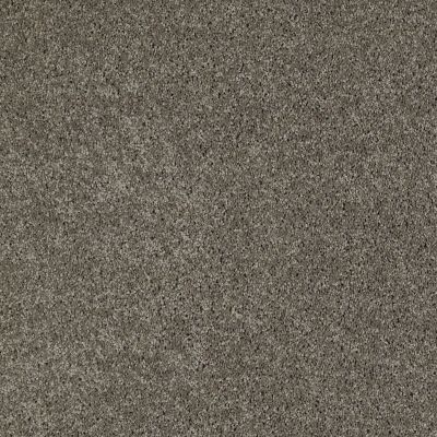 Shaw Floors SFA LOYAL BEAUTY II Grey Flannel 00501_EA163