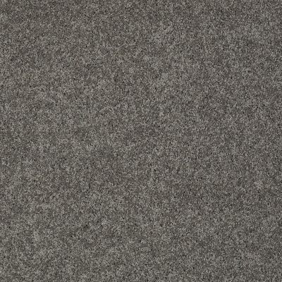 Shaw Floors Shaw Flooring Gallery Inspired By II Graphite 00754_5560G