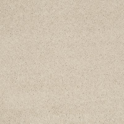 Shaw Floors Caress By Shaw CASHMERE CLASSIC IV Cheviot 00104_CCS71