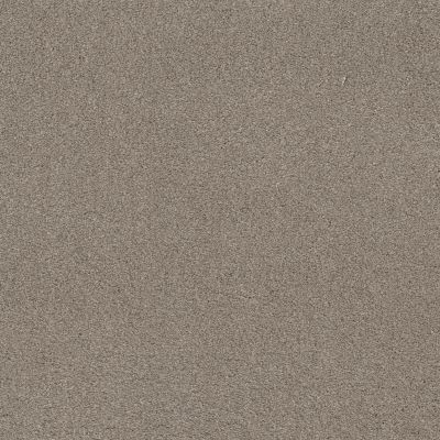 Shaw Floors Caress By Shaw Cashmere Classic Iv Birch Bark 00522_CCS71