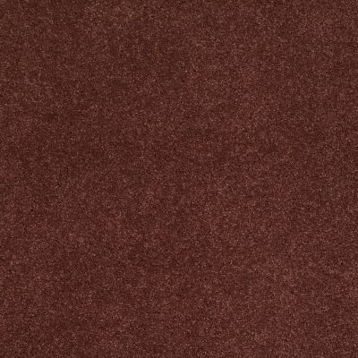 Shaw Floors Caress By Shaw Cashmere Iv Guanaco 00603_CCS04