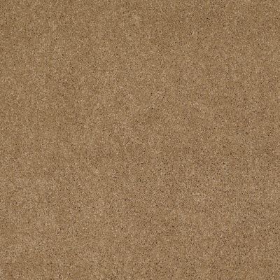 Shaw Floors Caress By Shaw Cashmere Classic Iv Navajo 00703_CCS71