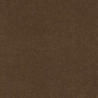 Shaw Floors Caress By Shaw QUIET COMFORT IV Bison 00707_CCB33