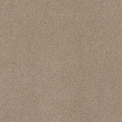 Shaw Floors Caress By Shaw Quiet Comfort Classic Iv White Pine 00720_CCB99