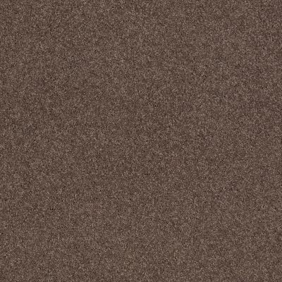 Shaw Floors Caress By Shaw Cashmere Classic Iv Spring – Wood 00725_CCS71