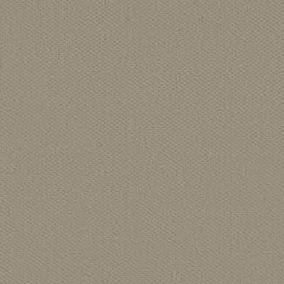 Shaw Floors Foundations INFALLIBLE INSTINCT Studio Taupe 00173_E9721