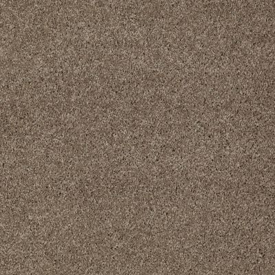 Anderson Tuftex Shaw Design Center Turn It Up I Simply Taupe 00572_814SD