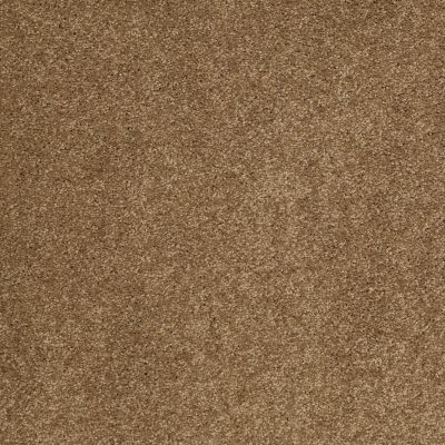Anderson Tuftex Value Collections Ts277 Bronze Glow 00727_TS277