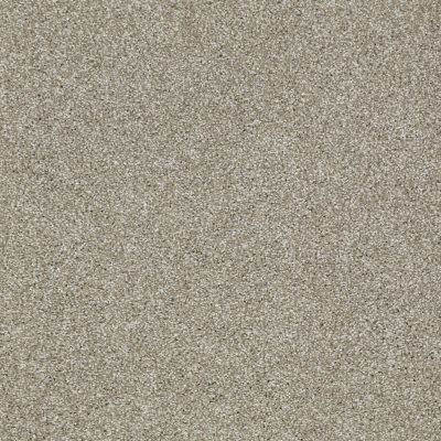 Shaw Floors PICTURESQUE Gray Flannel 00511_E0539