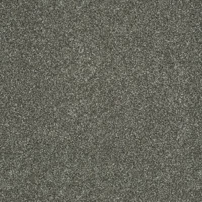 Shaw Floors Shaw Design Center Sun Drenched Graphite 00712_5C740
