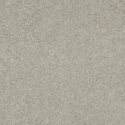 Shaw Floors Carpet Land Blanche 12 Dove Tail 00501_755X5