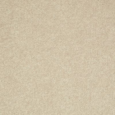 Shaw Floors Value Collections Main Stay 12′ Agate 00102_E9906