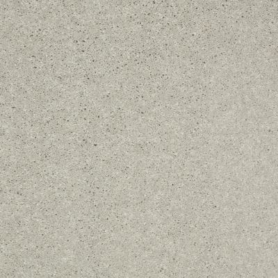 Shaw Floors Foundations Well Played II 12 Sheer Silver 00500_E0563