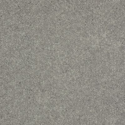 Shaw Floors Value Collections Main Stay 12′ Nickel 00502_E9906