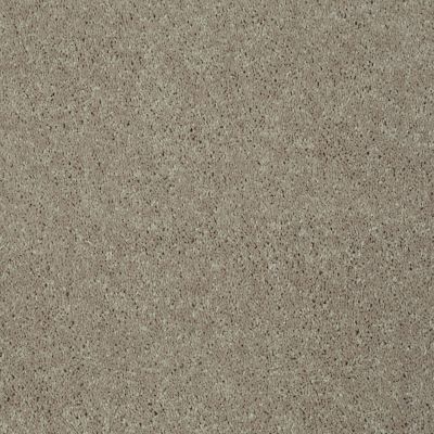 Shaw Floors Value Collections Main Stay 12′ Brown 00700_E9906